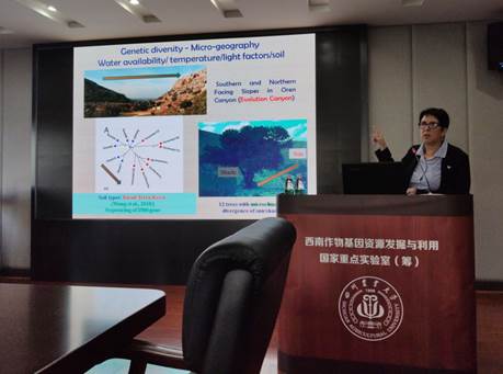 报告图片.jpg 报告图片.jpg